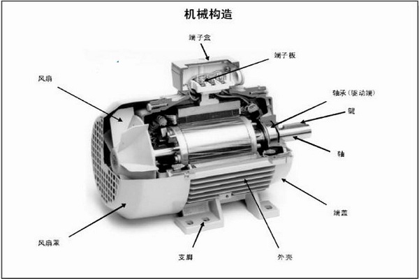 电动机类型详细解读